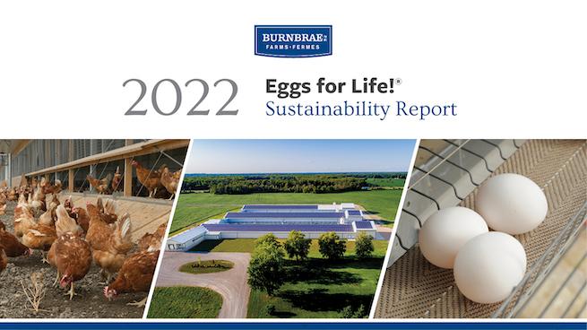 Burnbrae Farms 2022 sustainability report 